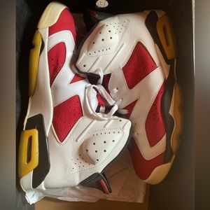 Jordan carmine 6- 2017